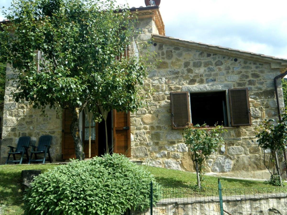 Agriturismo Ombianco Seggiano Ngoại thất bức ảnh
