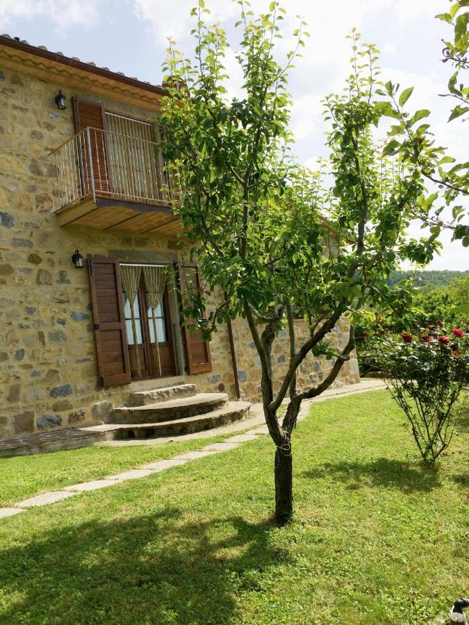 Agriturismo Ombianco Seggiano Ngoại thất bức ảnh